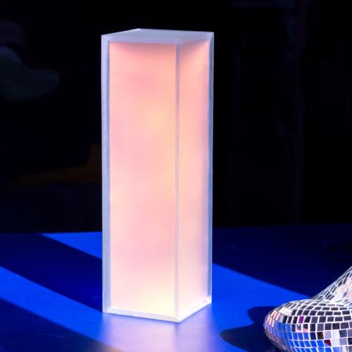 OBJECT
